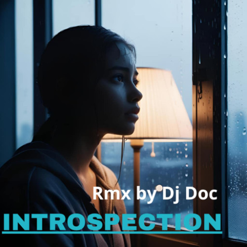 introspection  by dj doc