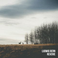 Reverie