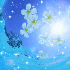 pink + anty - right back🌸 prod me