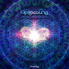 01 - Oplewing - Biotecnologic