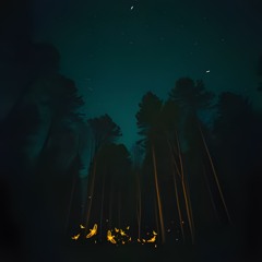 CANZONI DEL BOSCO - LE LUCCIOLE CANTANO  - RELEASE - Vega