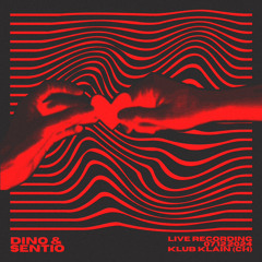 RE:DUCED VOL.1 DINO B2B SENTIO