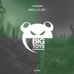 Pammin - Molly (Original Mix) BIG TOYS PRODUCTION