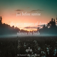 halF sunrisE [naviarhaiku443]