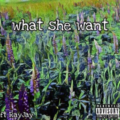 What she want ft RayJay