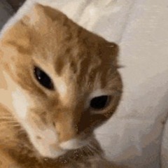 locked the fuck in