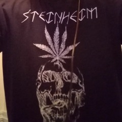 STEINHEIM - Twilight