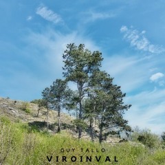 Viroinval