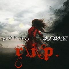 R.I.P. Featuring NORAD (Original Mix)
