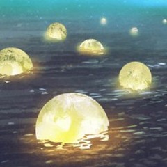 PEARLS