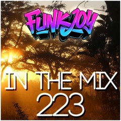 funkjoy - In The Mix 223