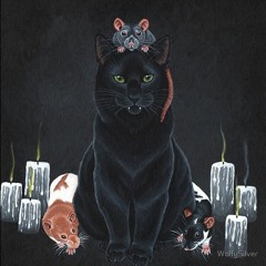 CARLOS KILL THE RATZ