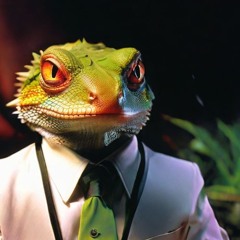 Mauro Picotto vs. Binary Finary - Lizard 1999