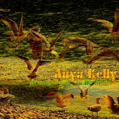 Armageddon In Disbelief