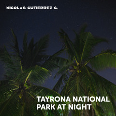 Tayrona National Park at Night