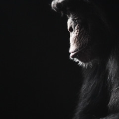 Tunnel Vision (91 bpm)