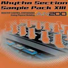 Rhythm Section Sample Pack XIII - AN200 [Preview]
