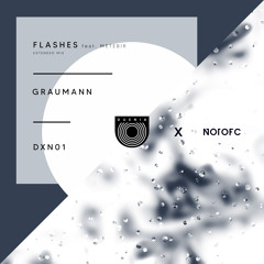 Graumann - Flashes feat. Metebir (Extended Mix)