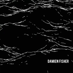 Premiere: Damien Fisher - Misunderstood
