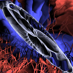 PLATO No. 10963 Playmates