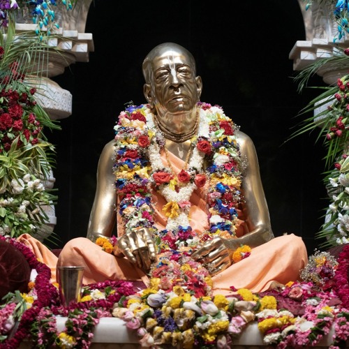 Pavan Nitai Chandra - Kirtan In Prabhupada's House On His Appearance Day  - 8.9.23
