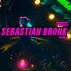 Wiwek - Riot [Sebastian Bronk Edit]