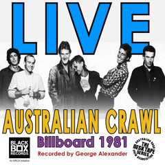 Boys Light Up (Live at Billboard 1981)