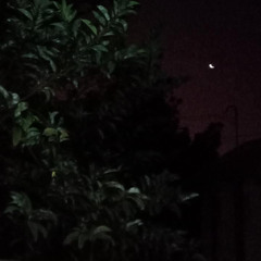 Ayra Starr feat. Giveon - Last Heartbreak Song [IBZA Remixx] 2024