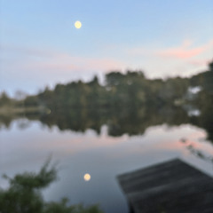 When You're in Love (Demo Tape)