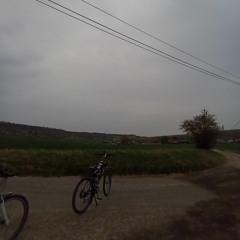 randoom