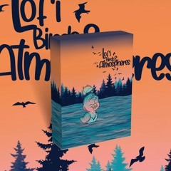Lofi Birds & Atmospheres - Demo Track