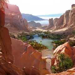 AU LOIN, UNE OASIS IMAGINAIRE