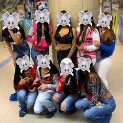 AUTOMOTIVO DAS RATAZANA 🐀 / PART SET ANTI-MÚSICA - MC PIPOKINHA (DJ JUDAZzz e apollo____808)
