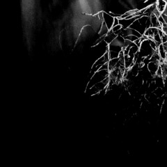 I'm not afraid of the dark