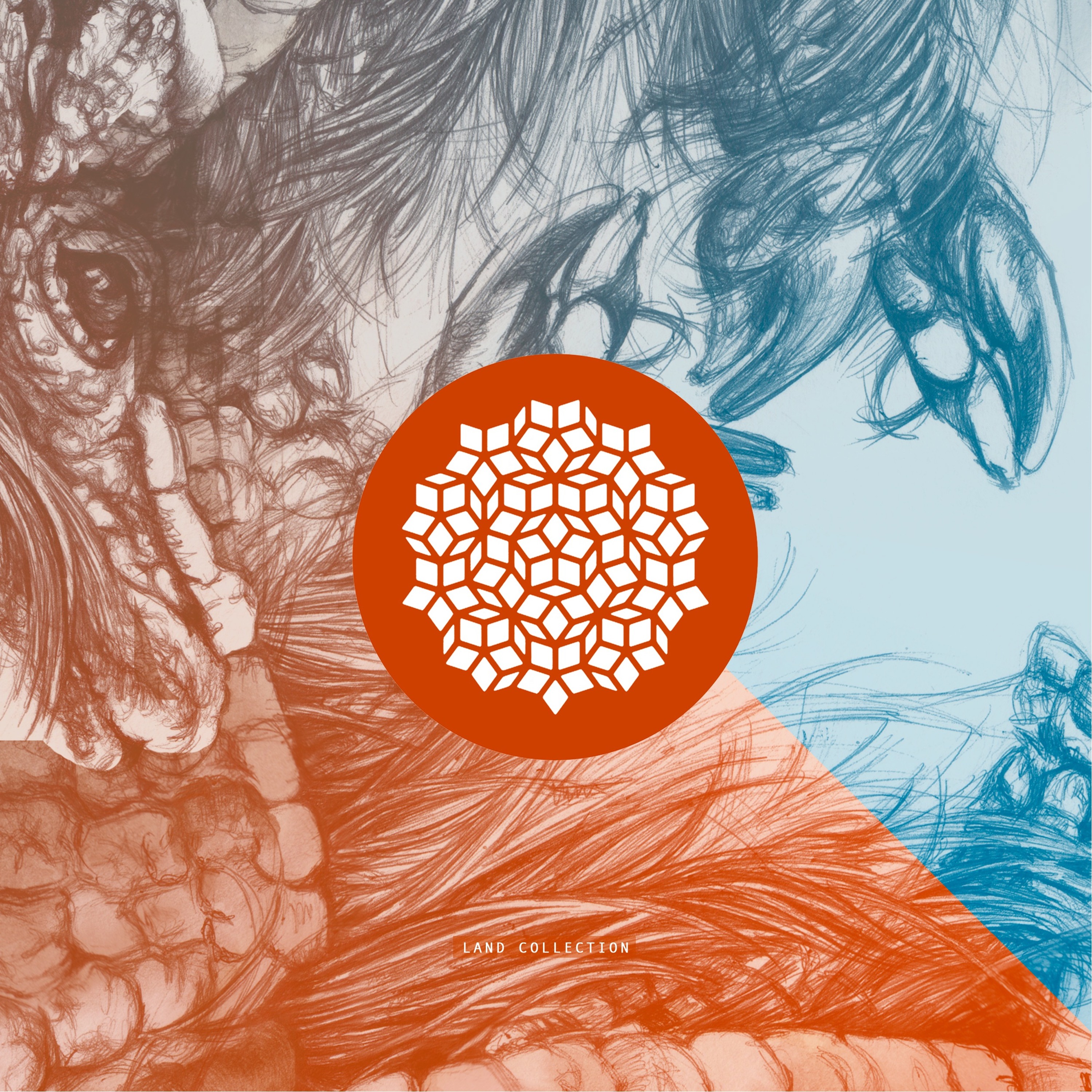 David Ponziano | Penrose Records  | Halley Club