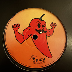 vinyl spicy mix
