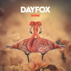 DayFox - Shine (Free Download)