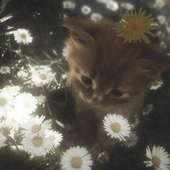 Never Lose Your Hope