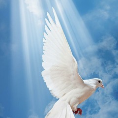 🕊☆●Empire Of Peace●☆🕊