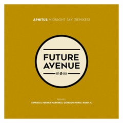 APNITUS - Midnight Sky (Xspance Remix) [Future Avenue]