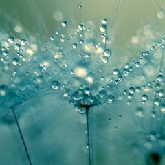 Near And Far (Demo)