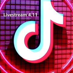 Livestream vom 04.11.