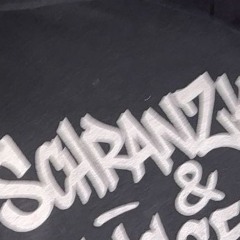 Burn It Down - SChranZkinD