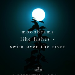haiku #385: moonbeams / like fishes – / swim over the river