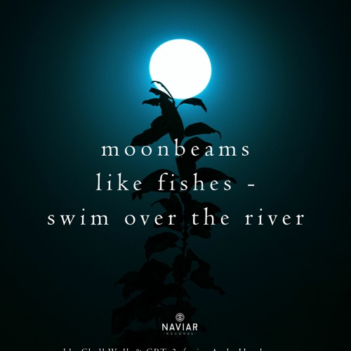 Moonbeams (naviarhaiku385)