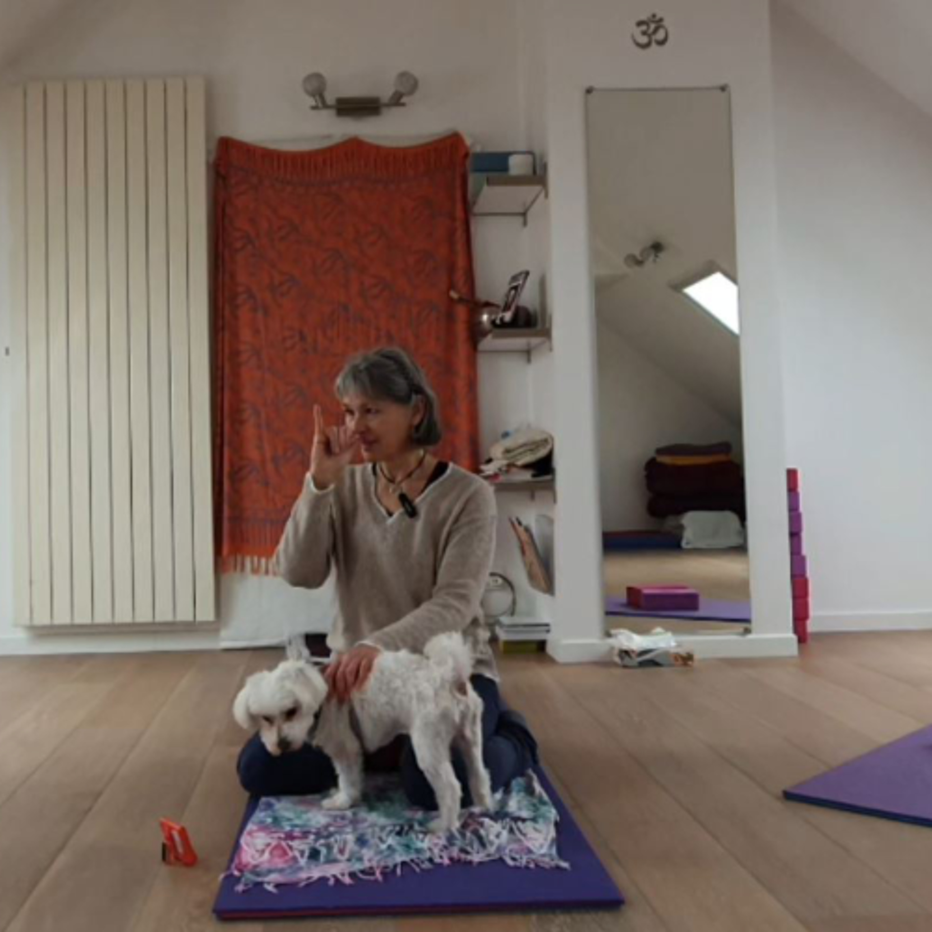 LE CORPS EN YOGA - Nos yeux sont précieux  #4 - la mudra (mardi 10 février 2026) episode artwork