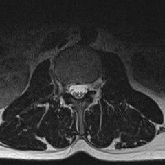 OPPENHEIMER - training -REC-2025-01-18