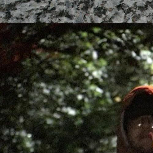 REDPAWS (prod. kip c)