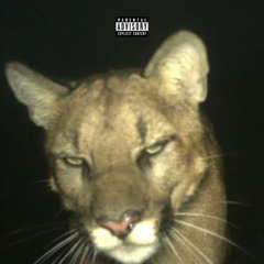 VonTooCut - Perfect [Official Audio].mp3