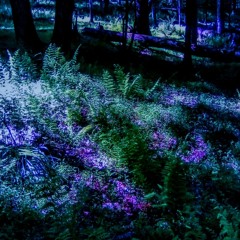 Chasing Ghosts [Instrumental]